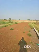 Dhaneli best individual land