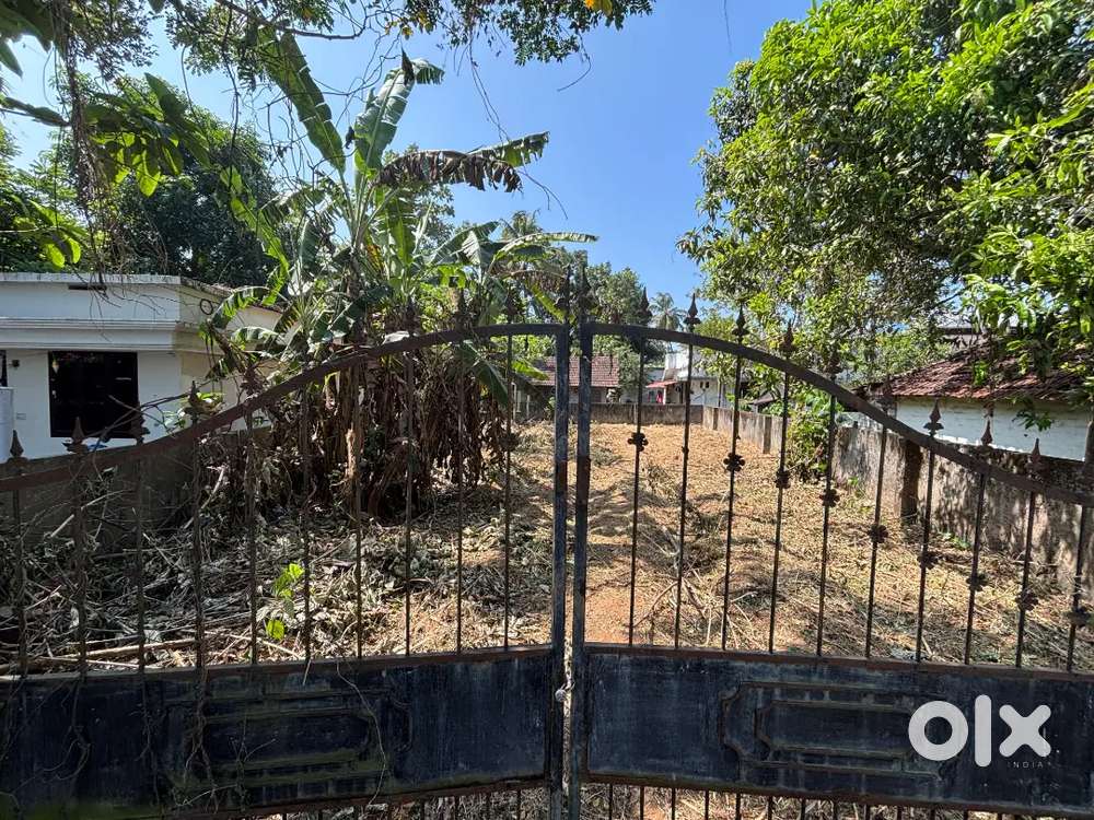 7 cent plot for sale