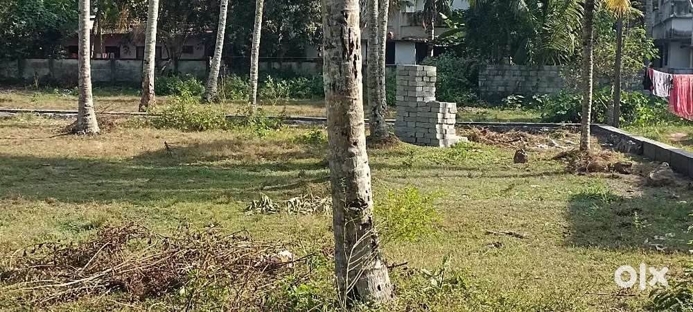Rectangular plot. Road side