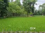 LAND FOR SALE ,KHOUNDPARA 1.5KOTHA 1500000