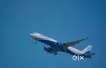 Urgent hiring for indigo airlines apply fast