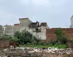 1200*3 plots available ( total -3600sqft )
