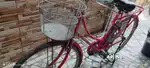 Magma pink clour bicycle