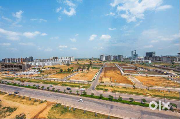 BIAAPA plots - immediate registration