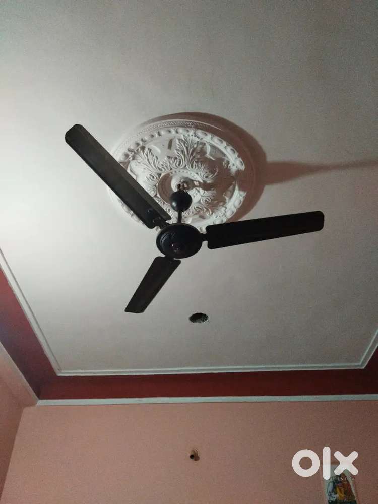 Celling fan 2