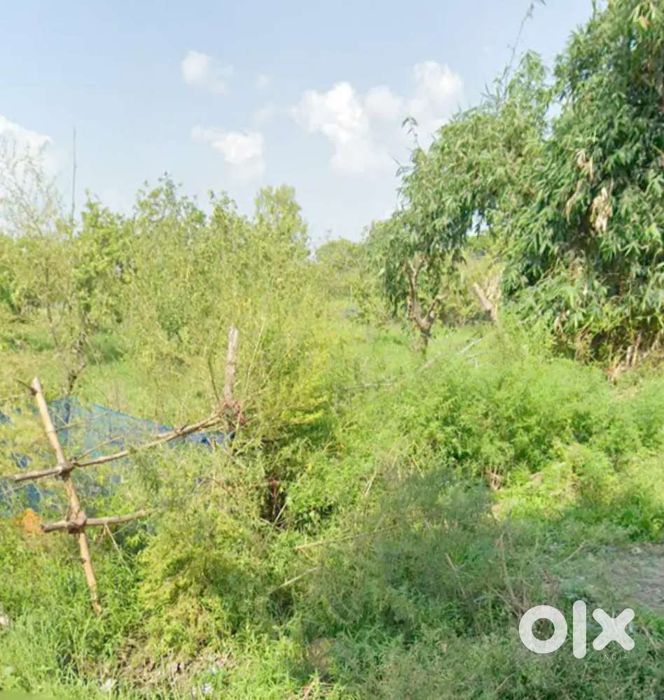 Baniyapur highway se 3 km andar Gilli Purwa me h .Jane ke liye road h