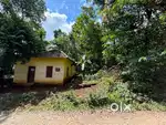 15 Cent plot and house for Sale
