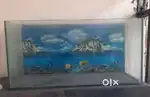 Aquarium fish tank