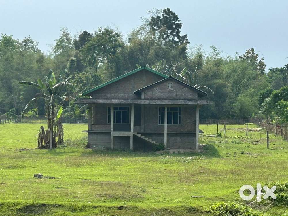 Sell my own land with Assam typ house