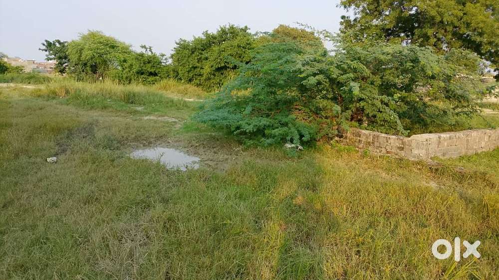 Plot Near Sanigawan Police Chowki