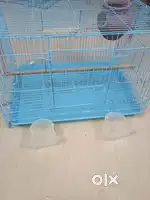 Love birds cage
