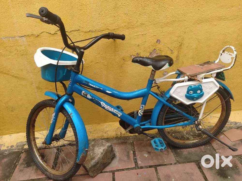 Momstar champion bicycle
