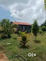 Aroma Sandalo Farmland – Sandalwood Income, Fruits, Amenities, Land De