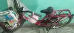 Ladies  cycle