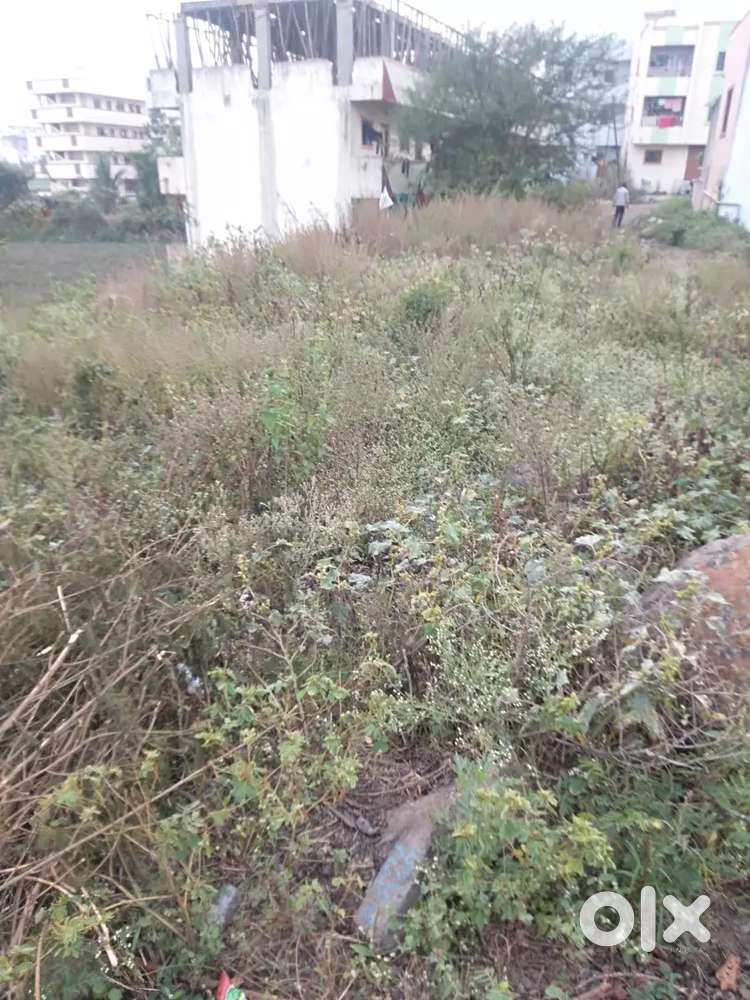 plot of 1 gunta at birdwadi chakan