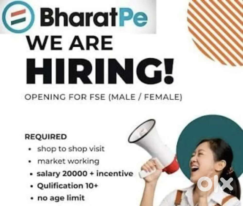 Bharatpe Sales Excutive