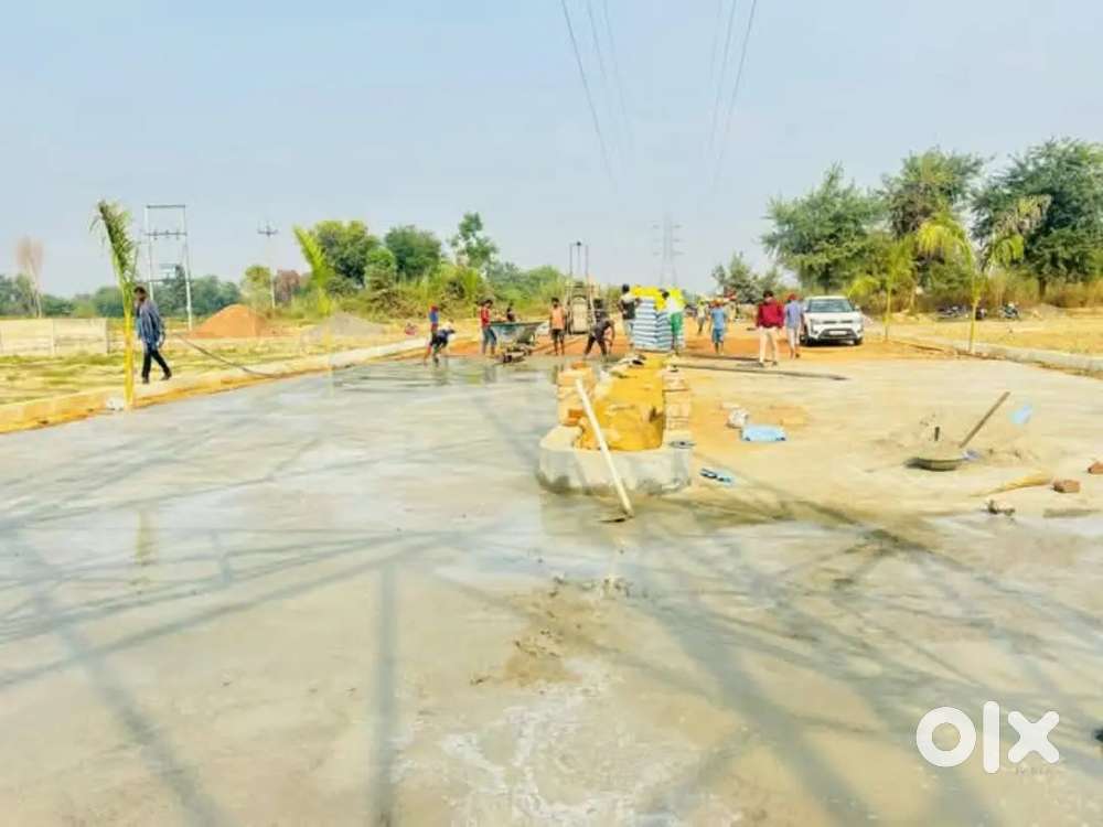 प्लाट ही प्लाट