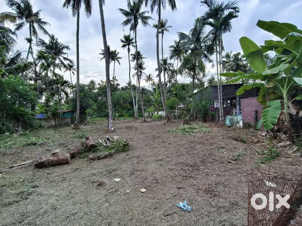 11 cents enamavu karamukku road