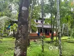 house and plot for sale