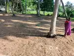 10 cents house site in malikipuram