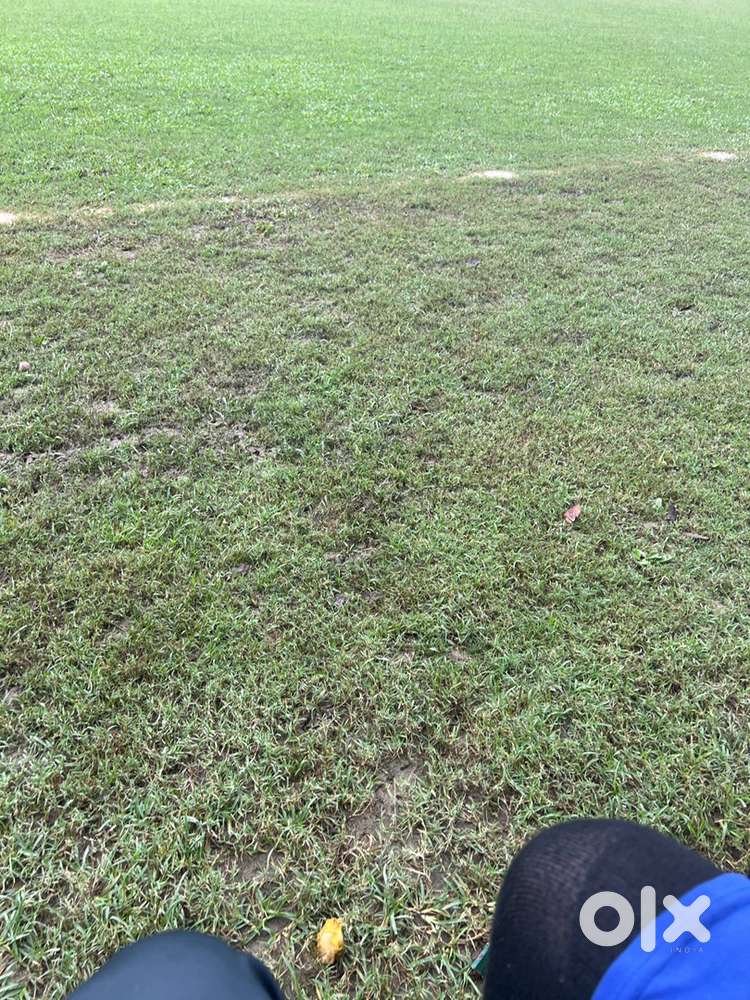 balawala plot