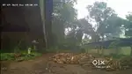 Peeling super vaicer