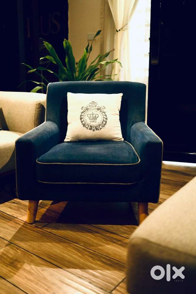 Single seater sofa set with cushions