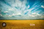 Land 10 cents sale in Indrali for 49 lakhs