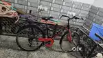 Avon bicycle