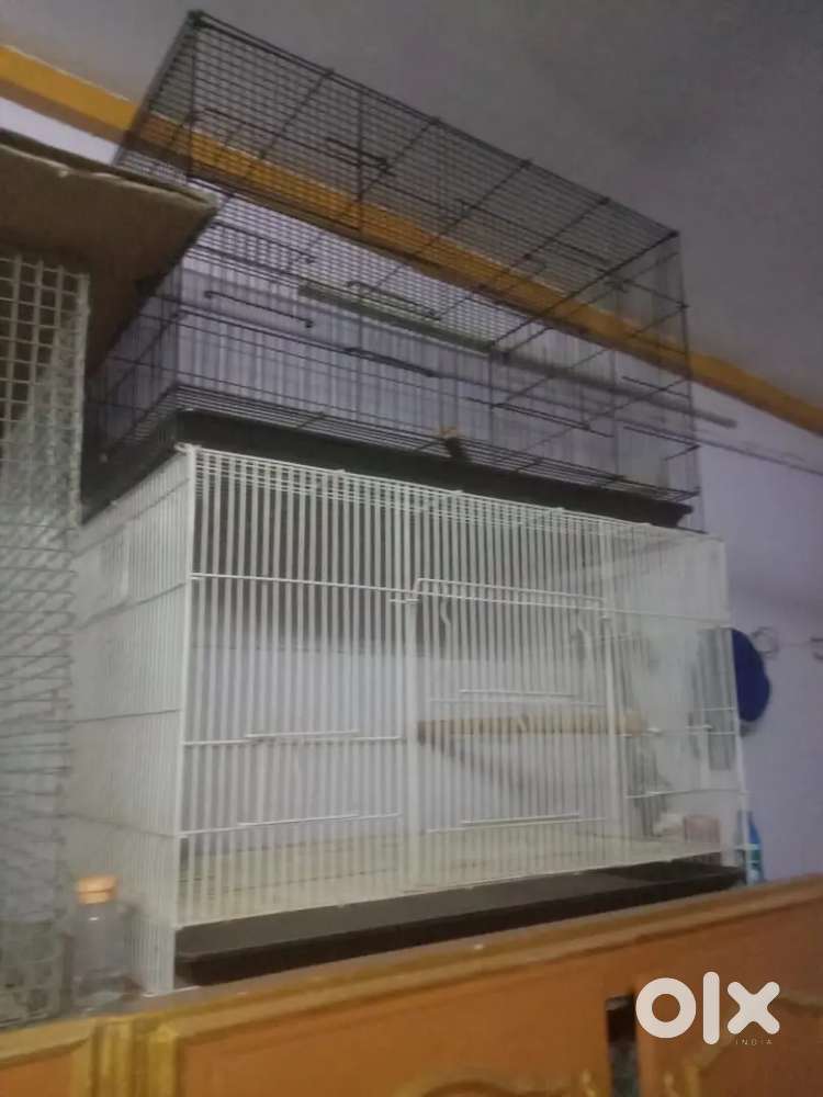 Steel cage
