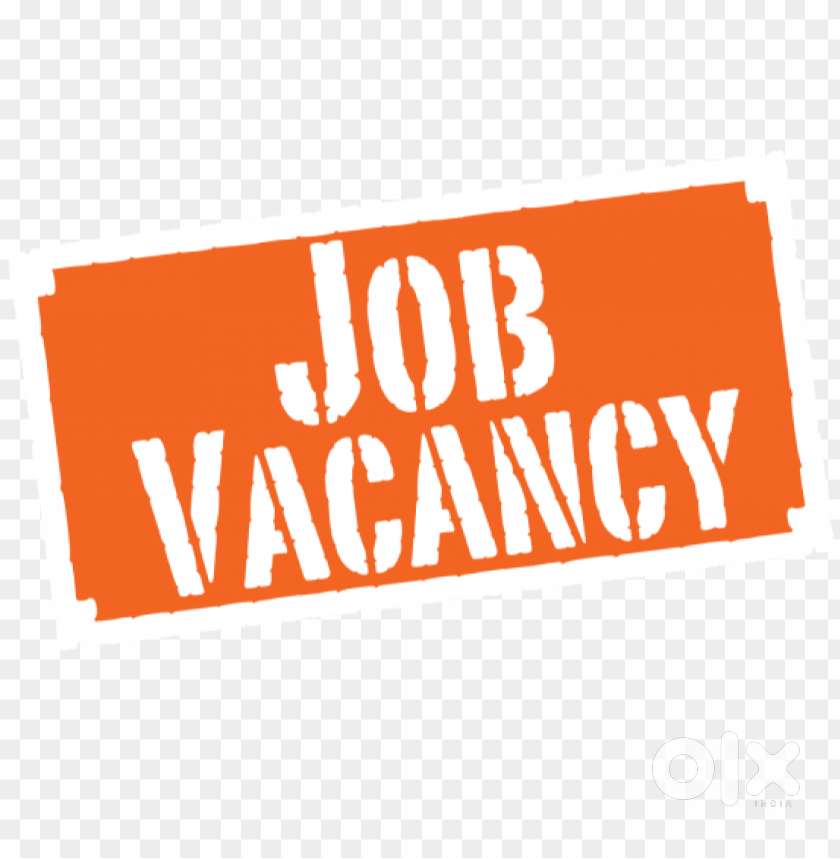 JOB VACANCY FOR FRESHER