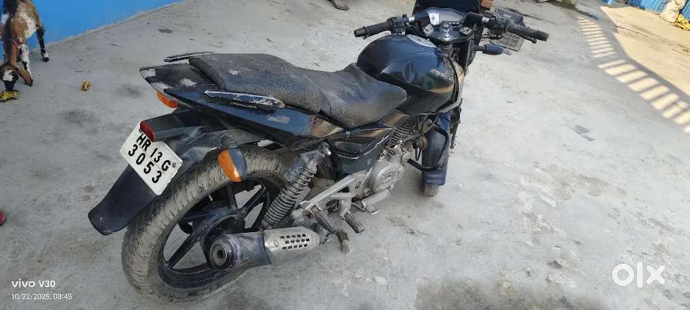 Pulser 180