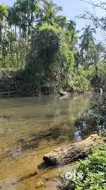 @₹1690/SQMTS , BEAUTIFUL RIVER TOUCH PROPERTY,DODAMARG SATELI-3623SQMT