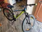 Brand new cycle