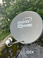 Dish tv, HD home