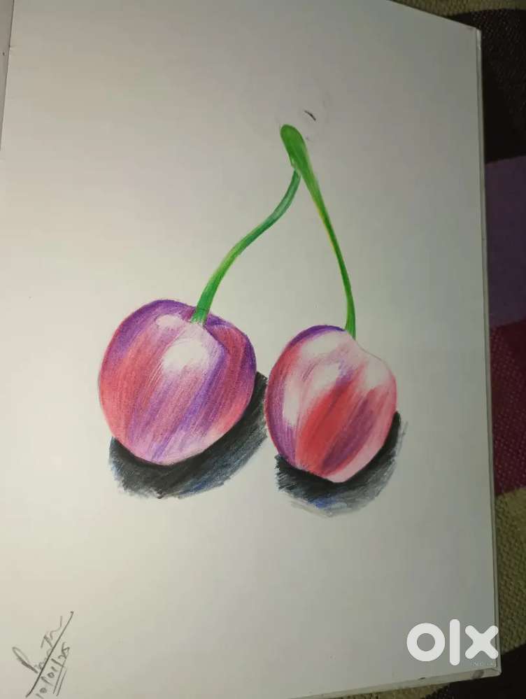 Cherry pencil colour sketch
