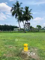 Mambakkam to Kayar road DTCP approved, East face 1125 sqft(25x45 size)