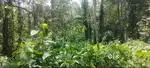 House Plot For Sale in Poonjar , Plot For Sale in Poonjar , Kottayam