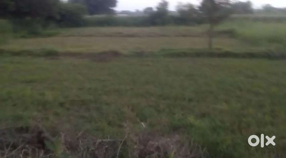 Land for immediate sale..malkit .