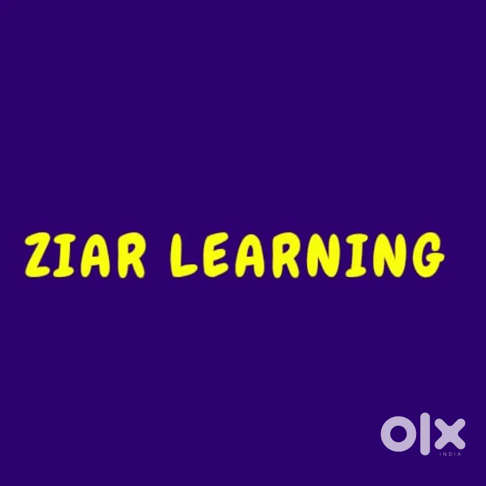 Academic mentor intern