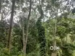 165 Acre agriculture land for sale in kodaikanal mountain range
