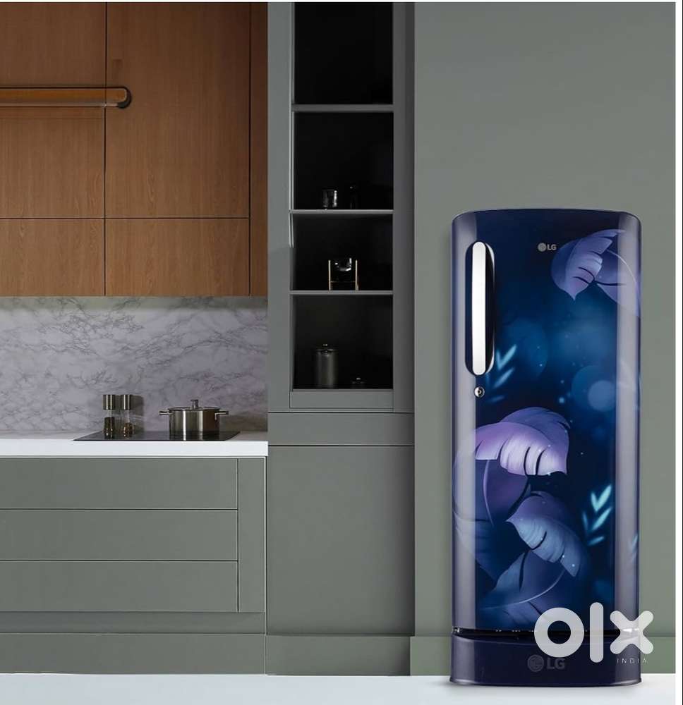 LG 185 L, 5 Star, Smart inverter compressor, Direct Cool Single Door