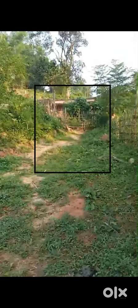 Land sale amsing zorabat