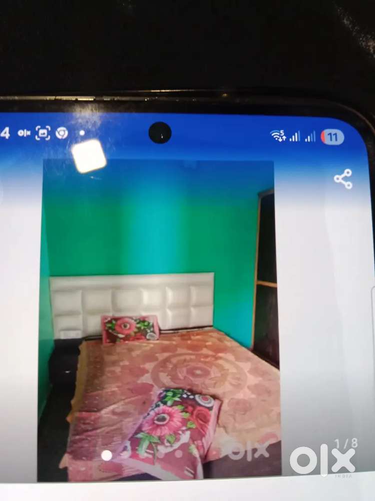 Only girl for pg and small Family