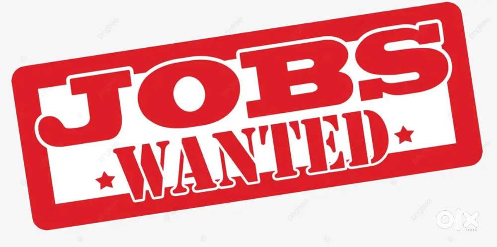 Wanted Sim Sales Executive