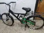 1 year old cycle