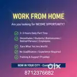 Part Time Job  Daily Payments  Work From Home