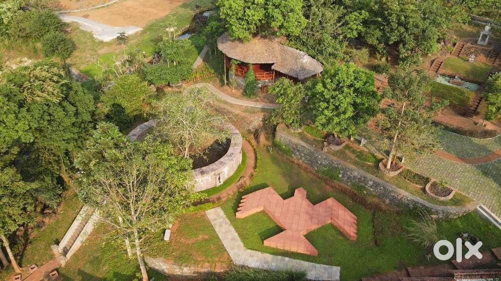 Front Office Executive