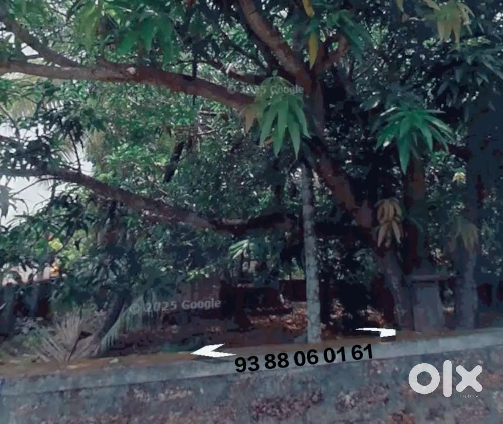 Westhill 11 Cent for sale asking percent 13 lakh