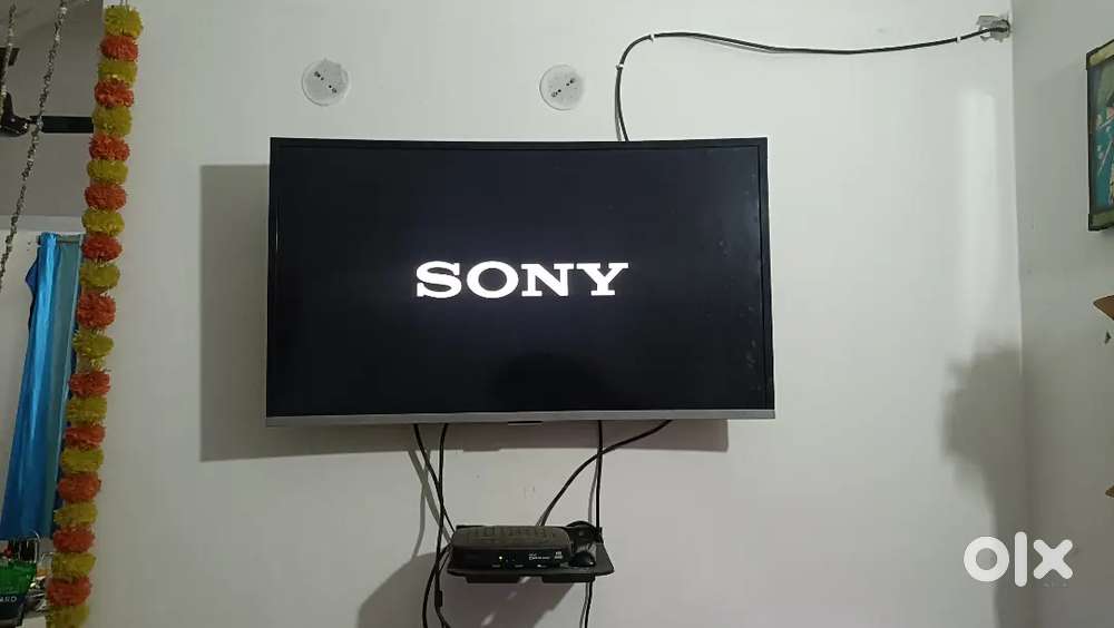 Curv Sony TV